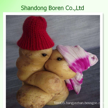 2015 Hot Sale Delicious Fresh Potato